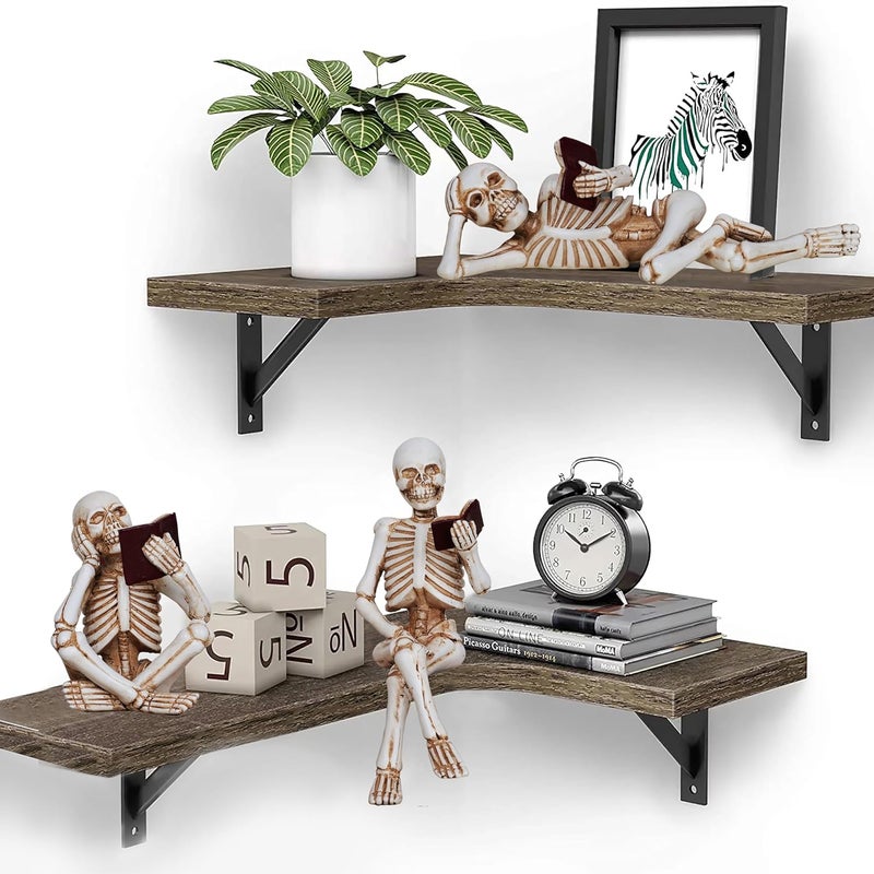 Dlfghos 3 Pieces Halloween Skeleton Statue Halloween Skull Figurine Home Decor Reading Skeleton Figurines Decorations for Indoor Fireplace Home Kitchen Desk Office Party - Image 2